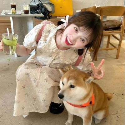 我们有人在撒谎第二季